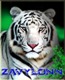Аватар для ZAVYLON